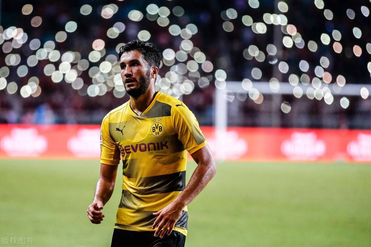 沙尔克04拿过德甲吗 沙尔克04拿过德甲吗